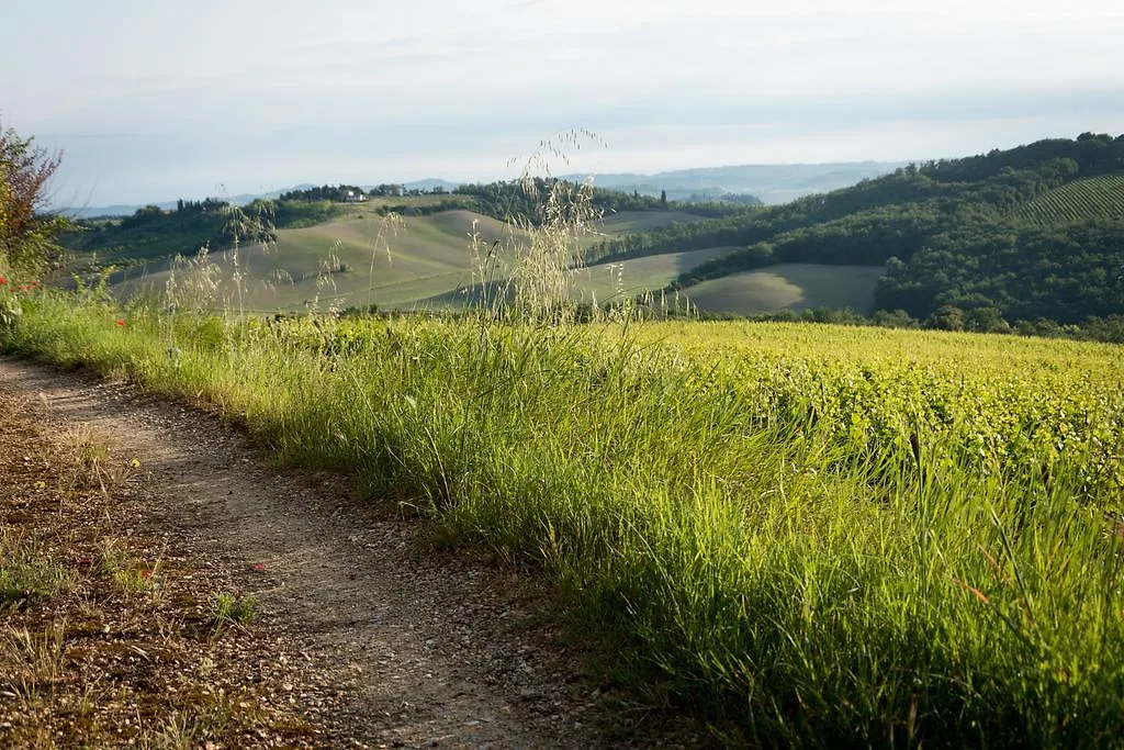 Il Borghetto Tuscan Holidays San Gimignano Italien